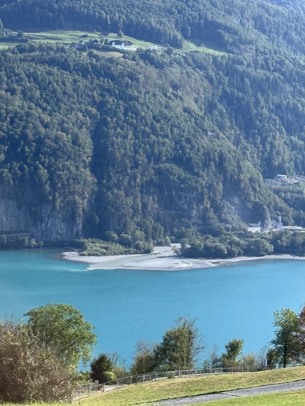 View from the line 650 bus across the turquoise Lake Walen onto the wooded mountainside.